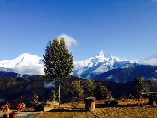Himalayan Deurali Resort Покхара Екстер'єр фото